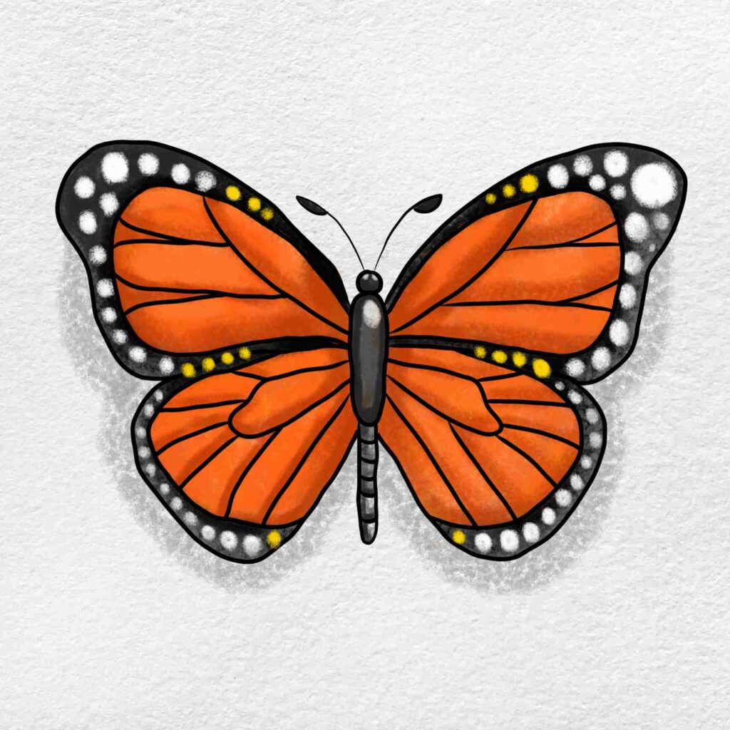 butterfly drawing easy