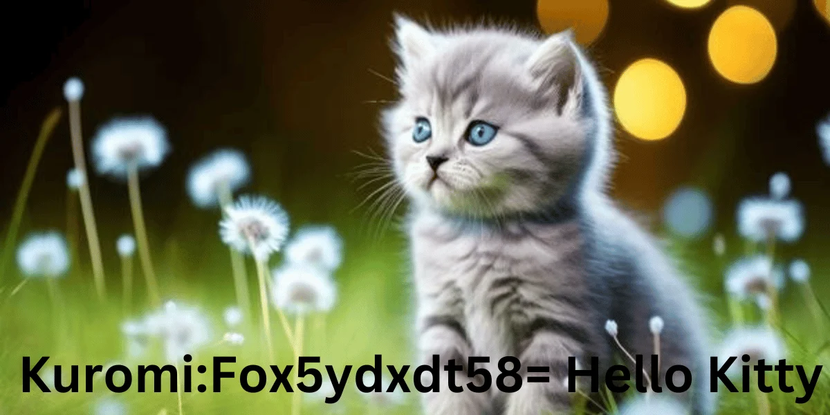 Kuromi:fox5ydxdt58= Hello Kitty